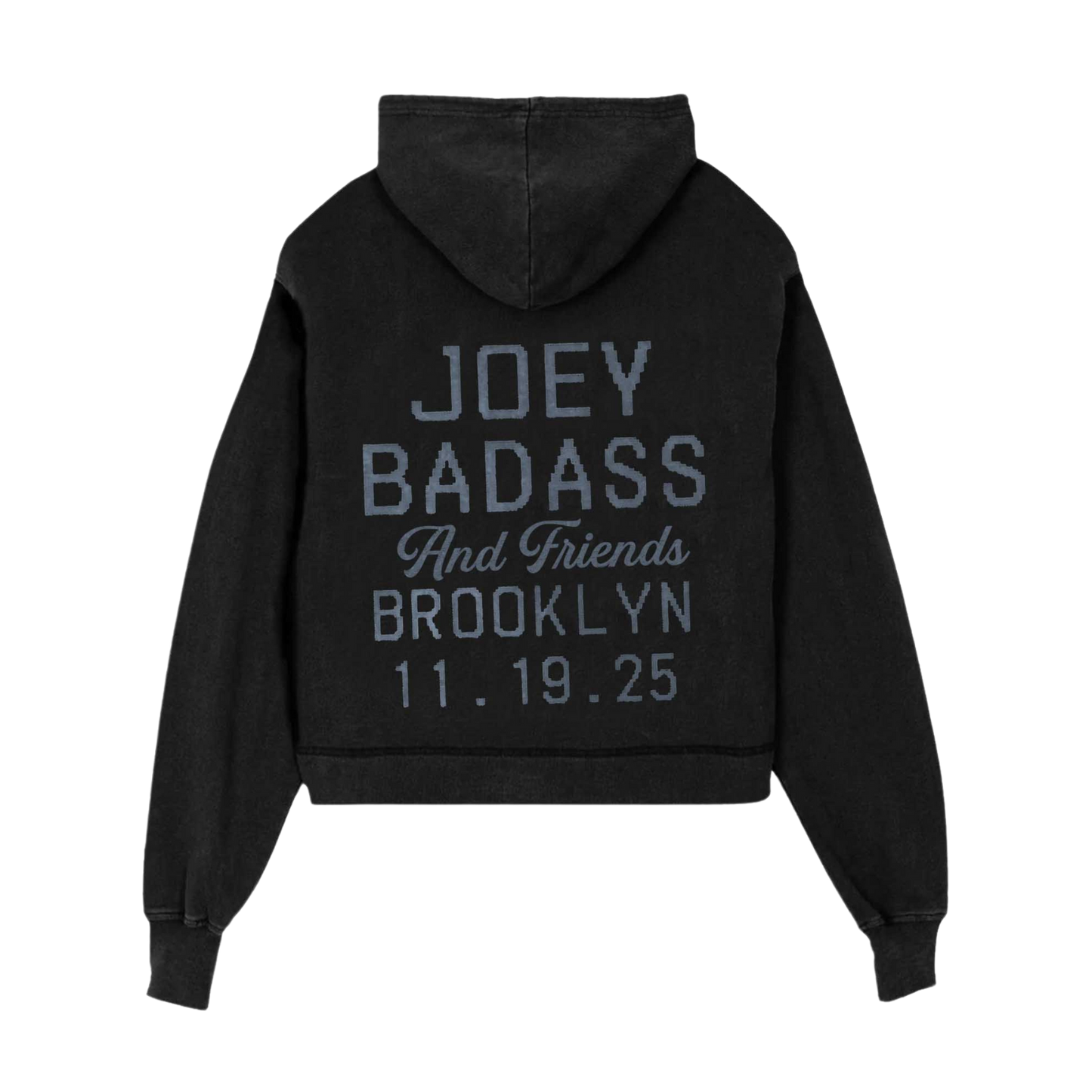 Joey Bada$$ & Friends in Brooklyn Hoodie