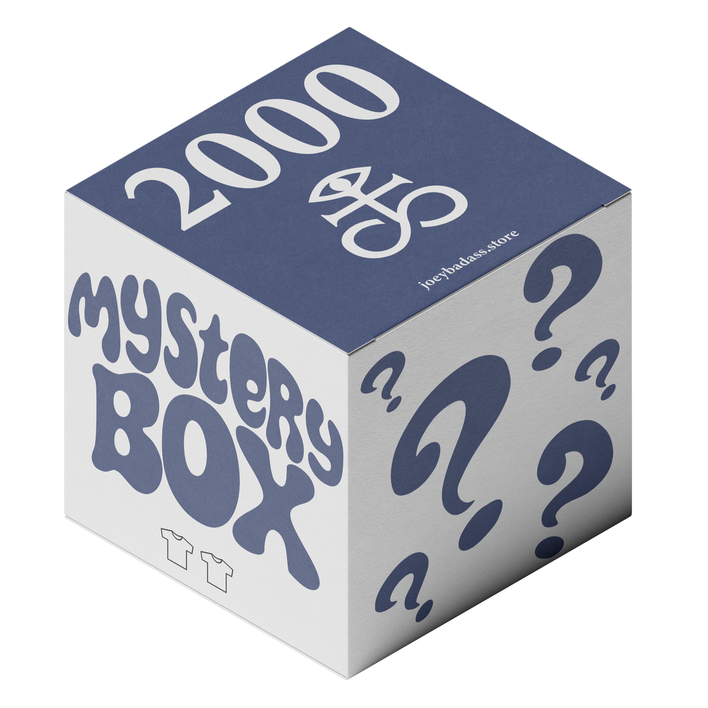 2 T-Shirt Mystery Box